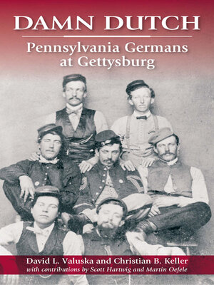 cover image of Damn Dutch